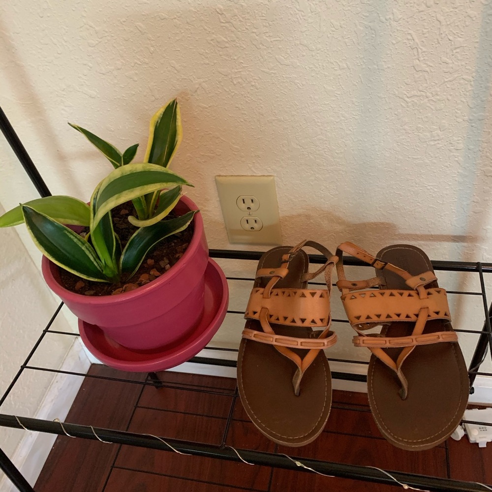 Cute brown sandals